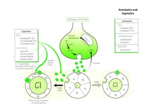 Anxiolytics and
  hypnotics
 