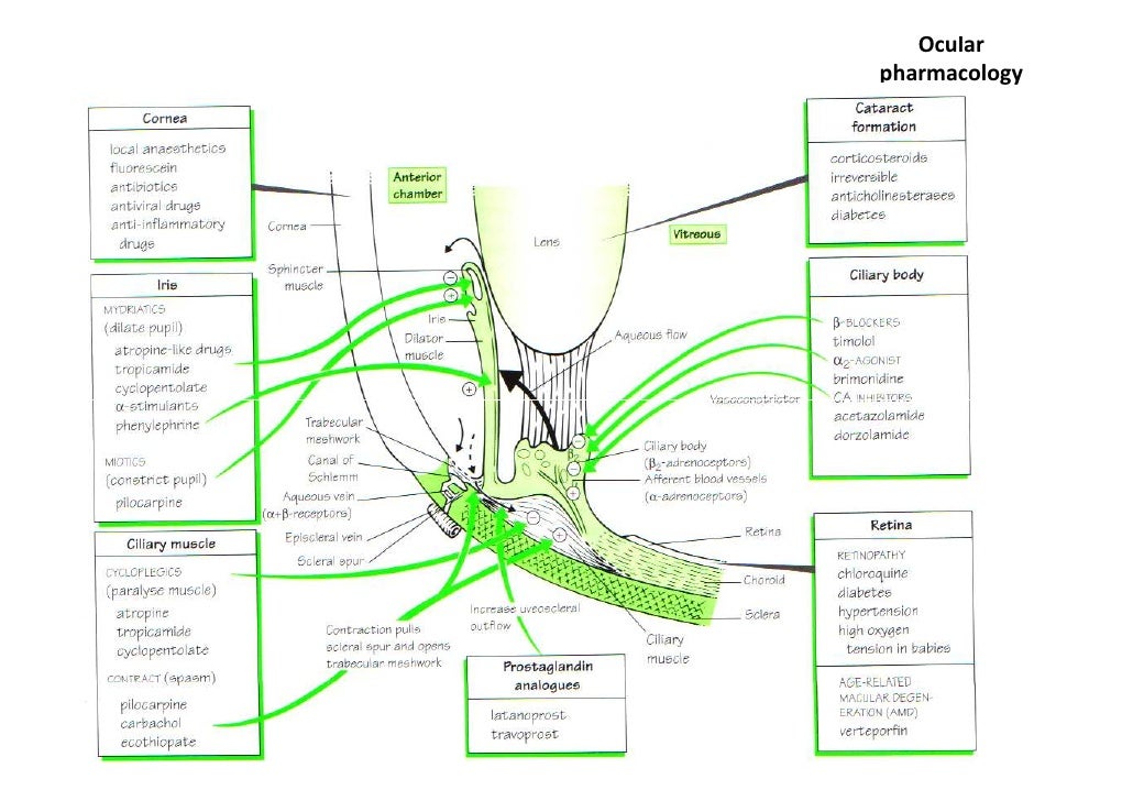 Xalatan Side Effects Vertigo