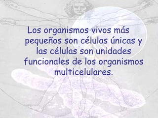 Los organismos vivos más
pequeños son células únicas y
   las células son unidades
funcionales de los organismos
        multicelulares.
 