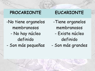 PROCARIONTE           EUCARIONTE

-No tiene organelos    -Tiene organelos
   membranosos           membranosos
  - No hay núcleo       - Existe núcleo
     definido              definido
- Son más pequeñas    - Son más grandes
 