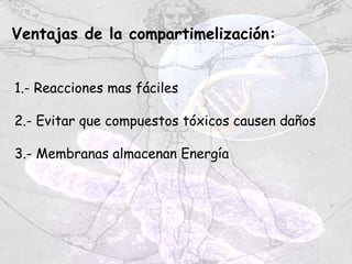 Ventajas de la compartimelización:


1.- Reacciones mas fáciles

2.- Evitar que compuestos tóxicos causen daños

3.- Membranas almacenan Energía
 