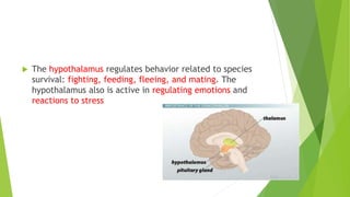 3-Cognitive-Neuroscience-20022023-022932pm.pptx
