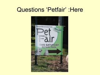 Questions ‘Petfair’ :Here
 