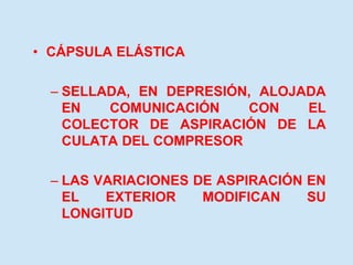 • CÁPSULA ELÁSTICA
– SELLADA, EN DEPRESIÓN, ALOJADA
EN COMUNICACIÓN CON EL
COLECTOR DE ASPIRACIÓN DE LA
CULATA DEL COMPRESOR
– LAS VARIACIONES DE ASPIRACIÓN EN
EL EXTERIOR MODIFICAN SU
LONGITUD
 
