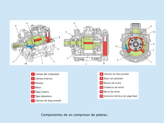 Componentes de un compresor de paletas. 