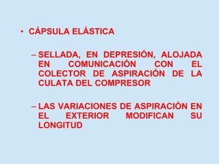 CÁPSULA ELÁSTICA SELLADA, EN DEPRESIÓN, ALOJADA EN COMUNICACIÓN CON EL COLECTOR DE ASPIRACIÓN DE LA CULATA DEL COMPRESOR LAS VARIACIONES DE ASPIRACIÓN EN EL EXTERIOR MODIFICAN SU LONGITUD 