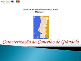Ambiente e Desenvolvimento Rural Módulo 11 Caracterização do Concelho de Grândola 1 