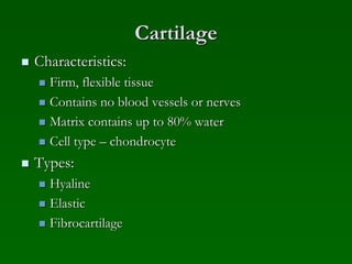 Cartilage
 Characteristics:
 Firm, flexible tissue
 Contains no blood vessels or nerves
 Matrix contains up to 80% water
 Cell type – chondrocyte
 Types:
 Hyaline
 Elastic
 Fibrocartilage
 