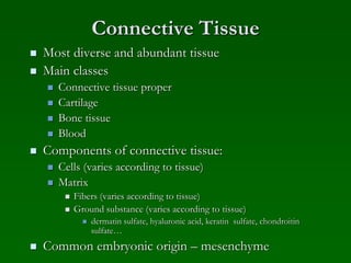 Connective Tissue
 Most diverse and abundant tissue
 Main classes
 Connective tissue proper
 Cartilage
 Bone tissue
 Blood
 Components of connective tissue:
 Cells (varies according to tissue)
 Matrix
 Fibers (varies according to tissue)
 Ground substance (varies according to tissue)
 dermatin sulfate, hyaluronic acid, keratin sulfate, chondroitin
sulfate…
 Common embryonic origin – mesenchyme
 
