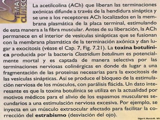 Edgar H. Murcia M. MV
 