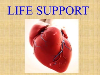 LIFE SUPPORT
 