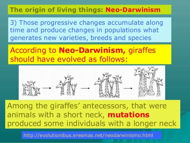 Natural Selection Acts On Which Of The Following Natural Selection Acts On Which Of The Following