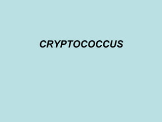 CRYPTOCOCCUS 