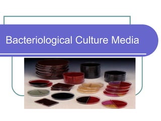 Bacteriological Culture Media

 