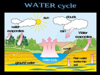 rain Water  evaporates Water body water evaporates Rain water soaks into  soil ground water WATER cycle  runoff clouds sun 