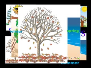 Summer  Spring   Autumn  The four seasons Winter  Spring  winter spring 