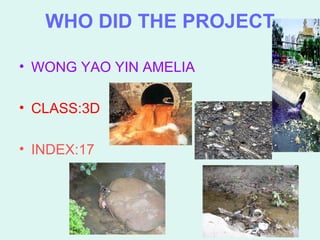 WHO DID THE PROJECT ,[object Object],[object Object],[object Object]