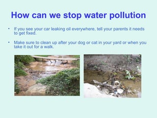 How can we stop water pollution If you see your car leaking oil everywhere, tell your parents it needs to get fixed. Make sure to clean up after your dog or cat in your yard or when you take it out for a walk. 