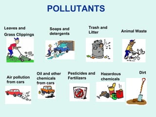 POLLUTANTS Leaves and Grass Clippings Hazardous  chemicals   Soaps and  detergents   Trash and  Litter  Animal Waste   Dirt Air pollution from cars   Oil and other chemicals  from cars   Pesticides and   Fertilizers   