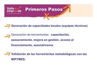 Primeros Pasos
Generación de capacidades locales (equipos técnicos)
Generación de herramientas: capacitación,
asesoramiento, mejora en gestión, acceso al
financiamiento, asociativismo.
Validación de las herramientas metodológicas con las
MIPYMES.
 