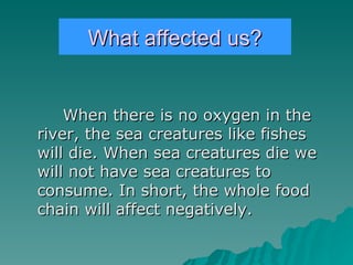 What affected us? When there is no oxygen in the river, the sea creatures like fishes will die. When sea creatures die we will not have sea creatures to consume. In short, the whole food chain will affect negatively. 