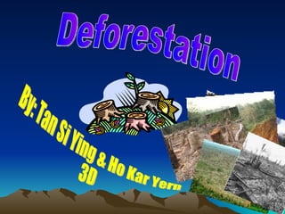 Deforestation By: Tan Si Ying & Ho Kar Yern 3D 