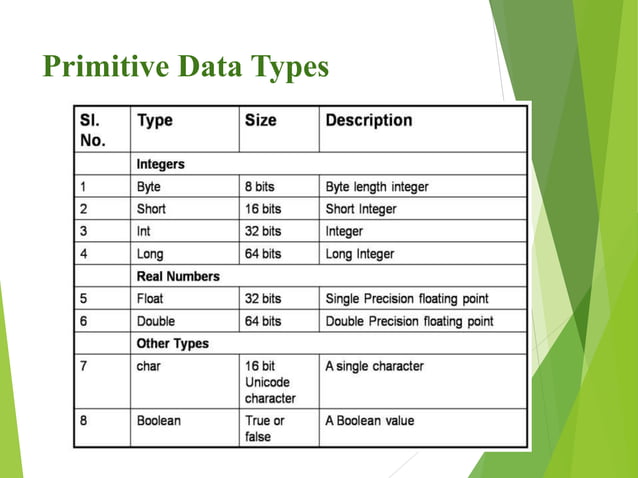 Data Types & Variables in JAVA | PPSX