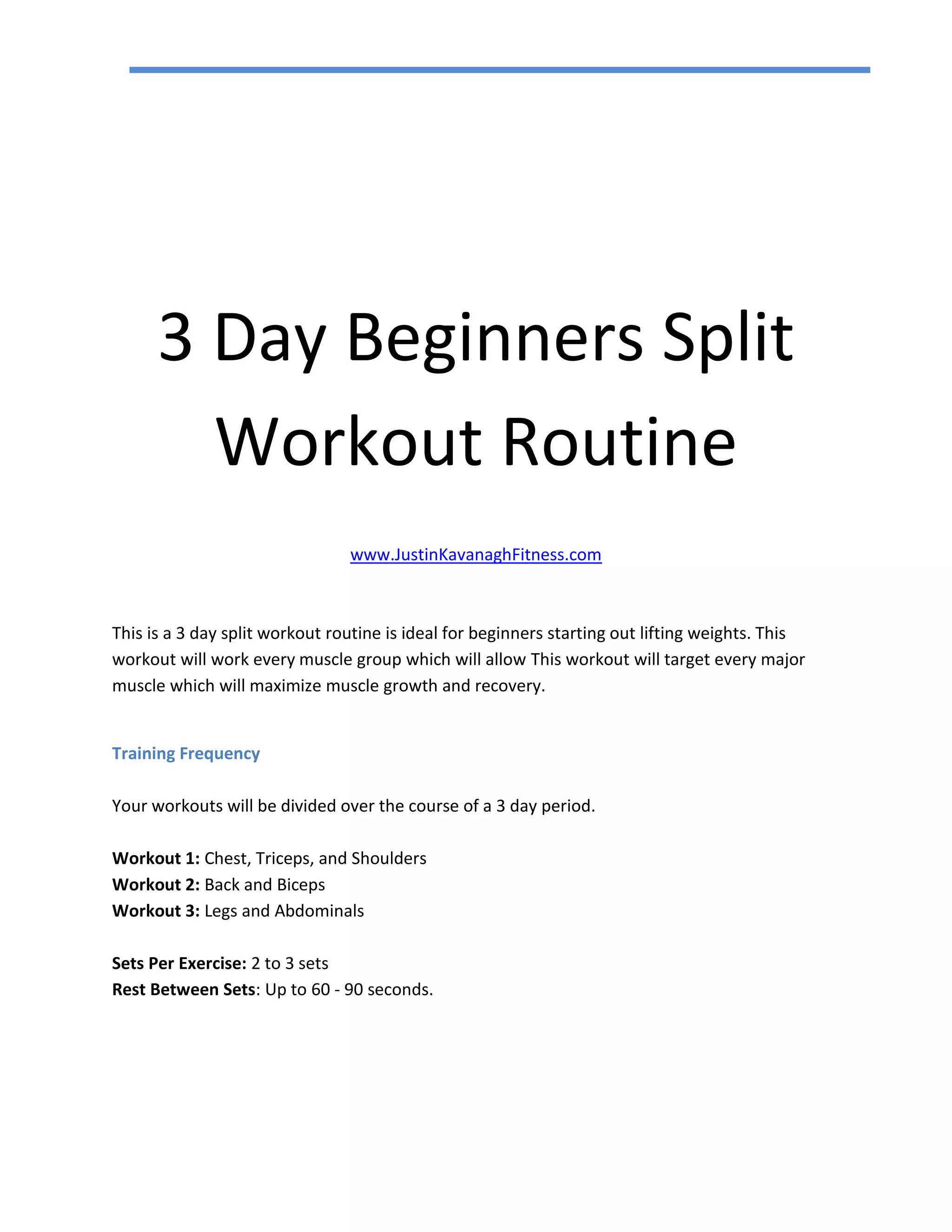 3 Day Split Workout Routine | PDF