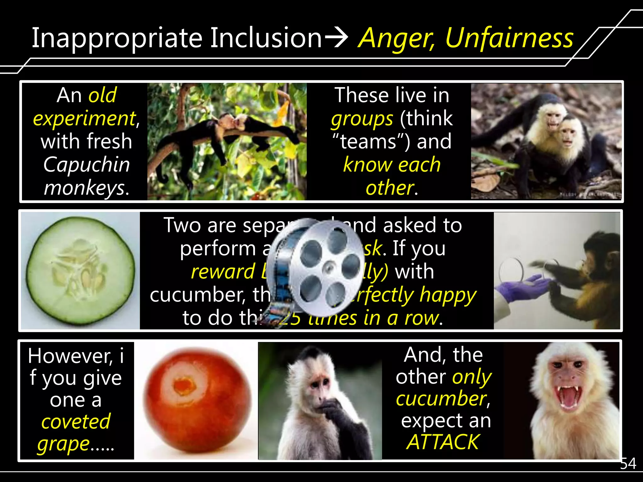Inappropriate Inclusion Anger, Unfairness
An old
experiment,
with fresh
Capuchin
monkeys.

These live in
groups (think
―teams‖) and
know each
other.
Two are separated and asked to
perform a simple task. If you
reward both (equally) with
cucumber, they are perfectly happy
to do this 25 times in a row.

However, i
f you give
one a
coveted
grape…..

And, the
other only
cucumber,
expect an
ATTACK

54

 