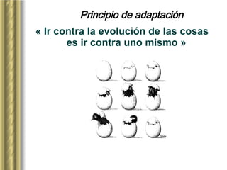 Principio de adaptación « Ir contra la evolución de las cosas es ir contra uno mismo » 