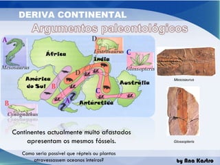 Mesosaurus Glossopteris Continentes actualmente muito afastados apresentam os mesmos fósseis. Como seria possível que répteis ou plantas atravessassem oceanos inteiros? 