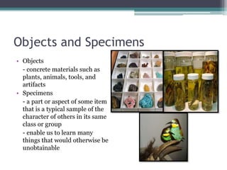 Objects and Specimens
• Objects
- concrete materials such as
plants, animals, tools, and
artifacts
• Specimens
- a part or aspect of some item
that is a typical sample of the
character of others in its same
class or group
- enable us to learn many
things that would otherwise be
unobtainable
 