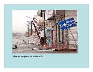 Efectos del paso de un huracán
 