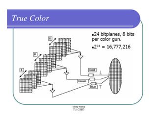 True Color




             Vinay Arora
             TU, CSED
 