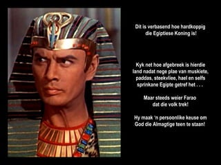 Dit is verbasend hoe hardkoppig  die Egiptiese Koning is!  Kyk net hoe afgebreek is hierdie land nadat nege plae van muskiete, paddas, steekvliee, hael en selfs sprinkane Egipte getref het . . .  Maar steeds weier Farao  dat die volk trek! Hy maak ‘n persoonlike keuse om God die Almagtige teen te staan!  