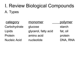 I. Review Biological Compounds
A. Types

category       monomer                polymer
Carbohydrate   glucose                starch
Lipids         glycerol, fatty acid   fat, oil
Protein        amino acid             protein
Nucleic Acid   nucleotide             DNA, RNA
 