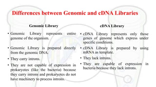 3 dna libraries | PPT