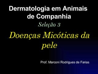 Doenças Micóticas da pele Dermatologia em Animais  de Companhia Seleção 3 Prof. Marconi Rodrigues de Farias 