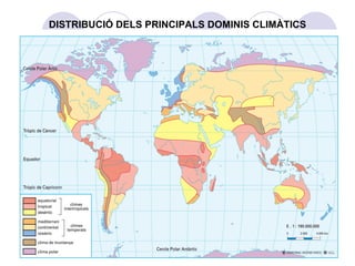 DISTRIBUCIÓ DELS PRINCIPALS DOMINIS CLIMÀTICS 