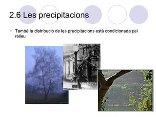 2.6 Les precipitacions També la distribució de les precipitacions està condicionada pel relleu 