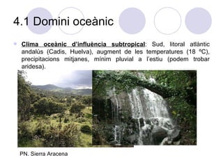 4.1 Domini oceànic Clima oceànic d’influència subtropical : Sud, litoral atlàntic andalús (Cadis, Huelva), augment de les temperatures (18 ºC), precipitacions mitjanes, mínim pluvial a l’estiu (podem trobar aridesa).  PN. Sierra Aracena 