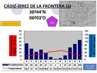Altitud = 27 ms CÁDIZ-JEREZ DE LA FRONTERA (a) 36º44’N 06º03’O Csa IA= 2,98 I. Semiárida 