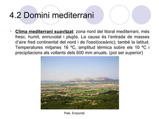 4.2 Domini mediterrani Clima mediterrani suavitzat : zona nord del litoral mediterrani, més fresc, humit, ennuvolat i plujós. La causa és l’entrada de masses d’aire fred continental del nord i de l'oest(oceànic); també la latitud. Temperatures mitjanes 16 ºC, amplitud tèrmica sobre els 10 ºC i precipitacions als voltants dels 600 mm anuals. (pot ser superior) Pals. Empordà 