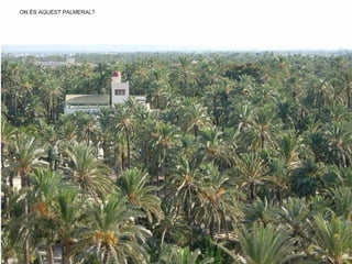 4.2 Domini mediterrani Clima mediterrani àrid : des del cap de la Nau fins a Màlaga, les altes pressions subtropicals i la unió del sistema Ibèric i Bètic tanquen als vents humits de l’oest i el sud-oest.  Precipitacions escasses i molt irregulars. Temperatures mitjanes prop dels 18 ºC. Amplitud tèrmica sobre els 10 ºC. Precipitacions entre els 230 mm  i els 414 mm anuals  Cabo de Gata 