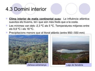 4.3 Domini interior Clima interior de matís continental suau :  La influència atlàntica suavitza els hiverns, tot i que són més freds que a la costa.  Les mínimes van dels -2,3 ºC als 5 ºC. Temperatures mitjanes entre els 9,8 ºC i els 18 ºC.  Precipitacions menors que al litoral atlàntic (entre 950 i 550 mm)  Dehesa  extremenya Lago de Sanabria 