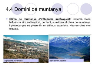 4.4 Domini de muntanya Clima de muntanya d’influència subtropical : Sistema Bètic. Influència aire subtropical, per tant, suavitzen el clima de muntanya, i provoca que es presentin en altituds superiors. Neu en cims molt elevats.  Serra de Cazorla. Alpujarra. Granada 
