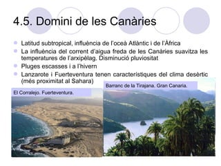 4.5. Domini de les Canàries Latitud subtropical, influència de l’oceà Atlàntic i de l’Àfrica La influència del corrent d’aigua freda de les Canàries suavitza les temperatures de l’arxipèlag. Disminució pluviositat Pluges escasses i a l’hivern Lanzarote i Fuerteventura tenen característiques del clima desèrtic (més proximitat al Sahara)  El Corralejo. Fuerteventura. Barranc de la Tirajana. Gran Canaria. 
