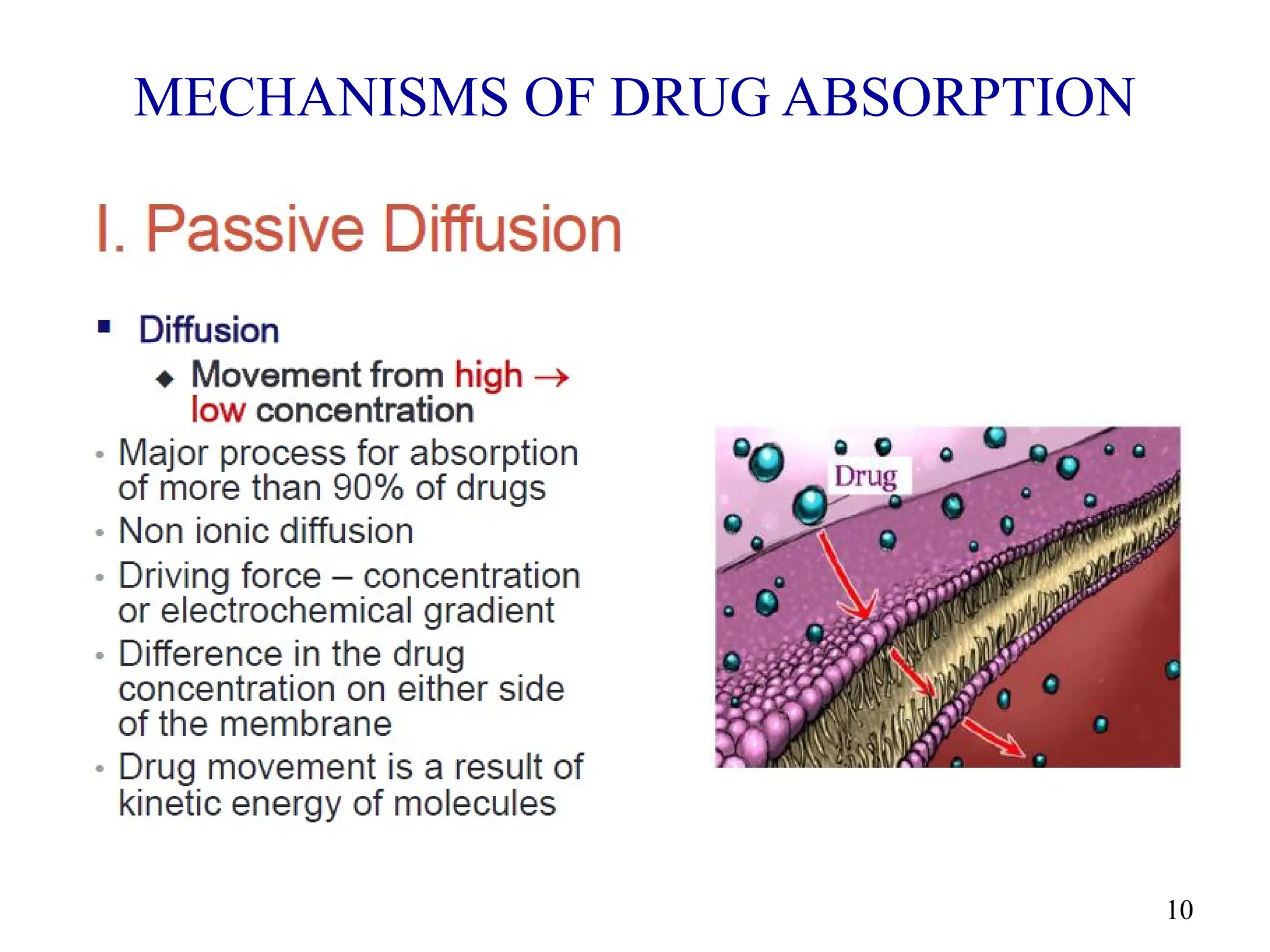10
MECHANISMS OF DRUG ABSORPTION