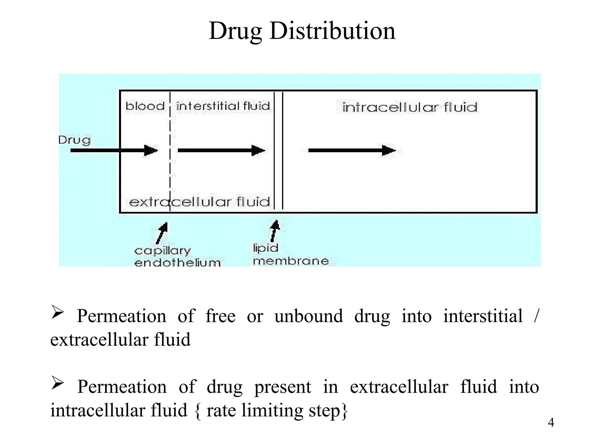 4
Drug Distribution
Permeation of free or unbound drug into interstitial /
extracellular fluid
Permeation of drug present in extracellular fluid into
intracellular fluid { rate limiting step}