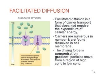 3-Drug Absorption and it's Distribution.pptx